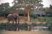 Sabi Sabi Bush Lodge