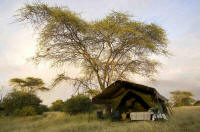 Honeymoon Safaris in Tanzania and Zanzibar Island - www.photo-safaris.com 