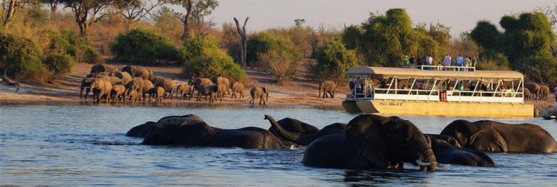 Affordable Botswana Safari (10 Days) - www.Africansafaris.Travel