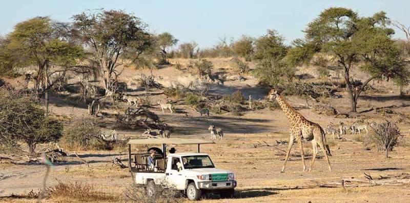 Botswana Safari on a Budget (10 Days) - www.africansafaris.travel