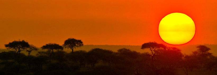 The Kiboko Safari (6 Days) - www.photo-safaris.com