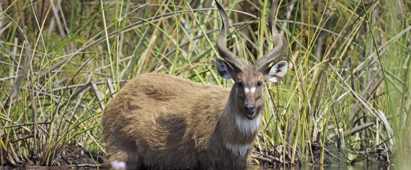  The Contrasts of Botswana Safari (9 Days) - www.africansafaris.travel