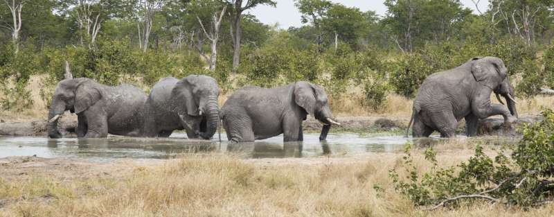 Camp Kuzuma - www.africansafaris.travel