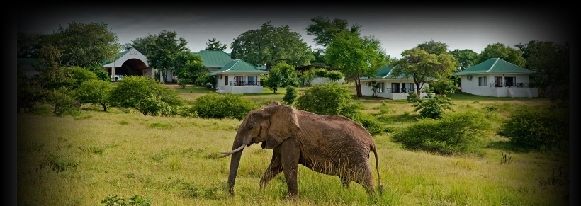 Chichele Presidential Lodge, Zambia - www.africansafaris.travel
