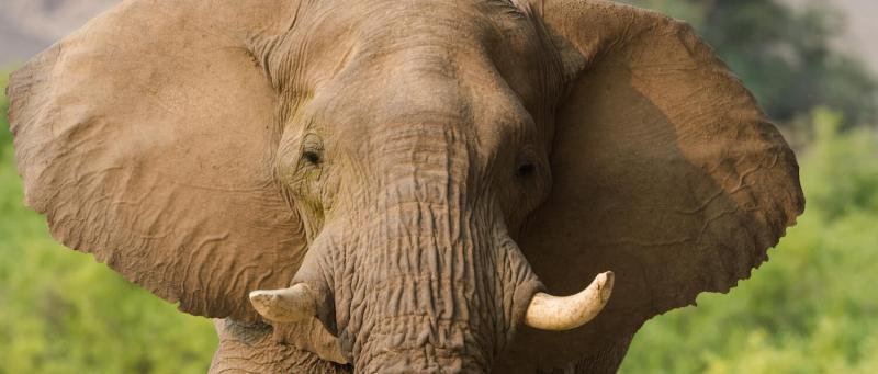 Journey Through Northern Namibia (7 Days) - www.africansafaris.travel