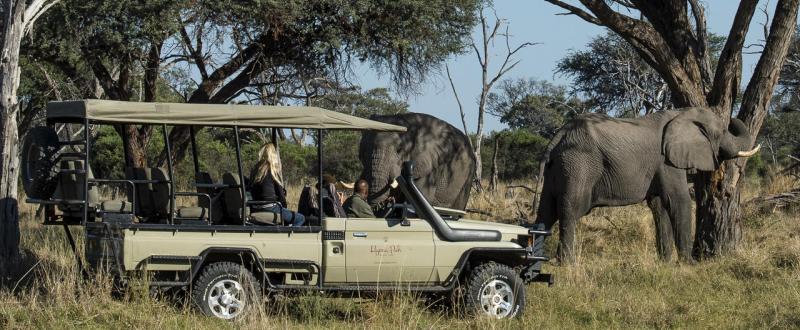 Botswana Safari on a Budget (10 Days) - www.africansafaris.travel
