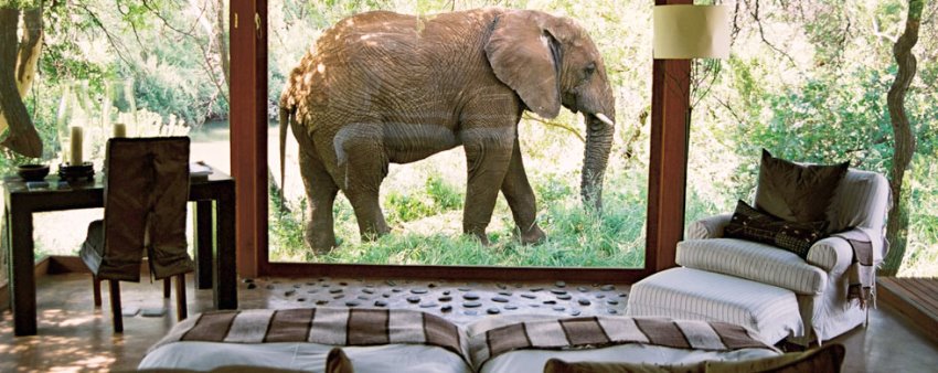 Makanyane Safari Lodge (Madikwe Game Reserve) South Africa - www.africansafaris.travel