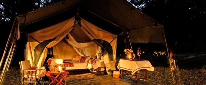 The Junior Ranger Safari in Tanzania (8 Days) - www.Africansafaris.Travel
