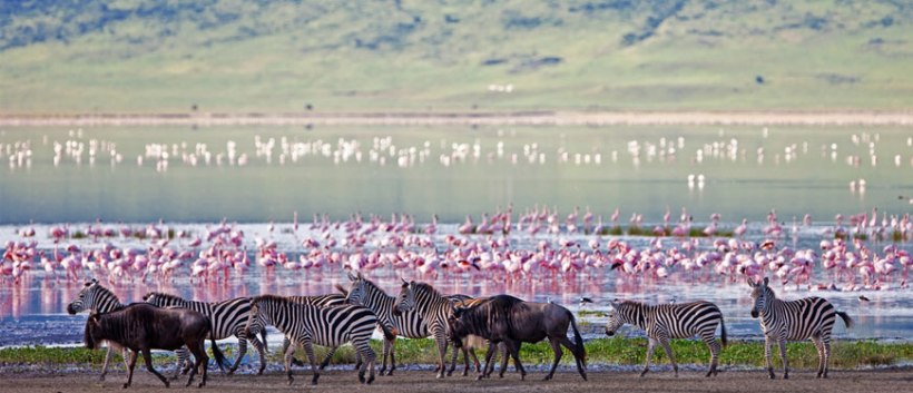 The Junior Ranger Safari in Tanzania (8 Days) - www.Africansafaris.Travel