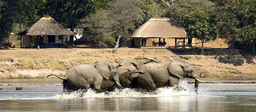The North Luangwa Walking Safari (11 Days) - www.photo-safaris.com