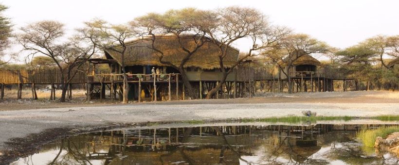 Onguma Tree Top Lodge - www.africansafaris.travel
