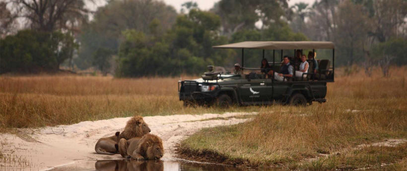 Sandibe Safari Lodge (Okavango Delta) Botswana - www.Africansafaris.Travel