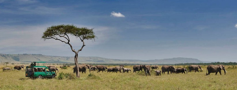 The Simba Safari - Tanzania (7 Days) - www.photo-safaris.com