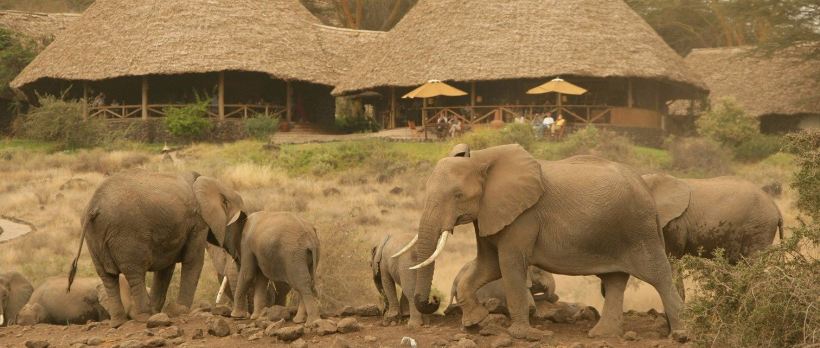 The Best of Kenya Safari (11 Days) - www.africansafaris.travel